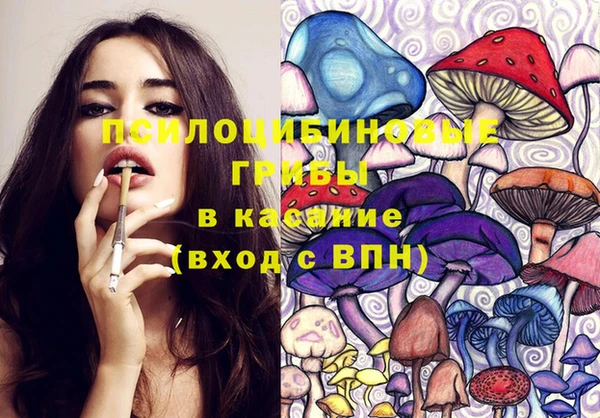 таблы Алексин
