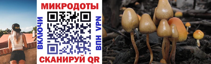 магазин продажи наркотиков  Сосенский  MEGA онион  Галлюциногенные грибы MAGIC MUSHROOMS 